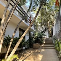 Jardín interior